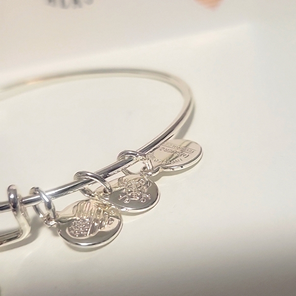 NWT Alex and Ani Silver Alaska Bear Paw Bracelet - Picture 3 of 11